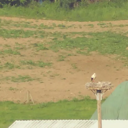 Ruhe - Oase Am Eichwald * Bad Nauheim