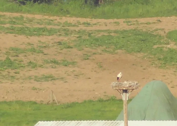 Ruhe - Oase Am Eichwald * Bad Nauheim