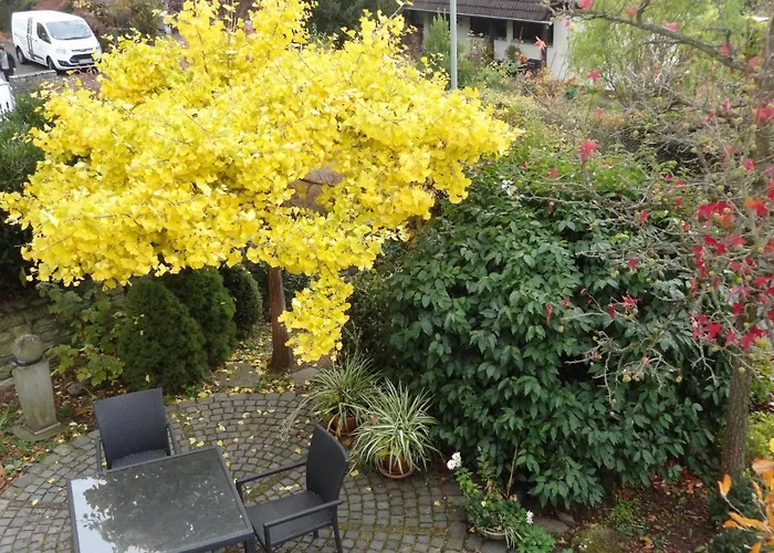 Ruhe - Oase Am Eichwald Apartment